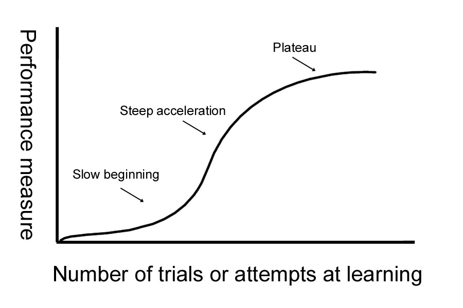 Language level performance plateau